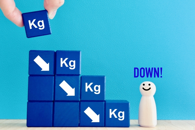 ダイエット積み木